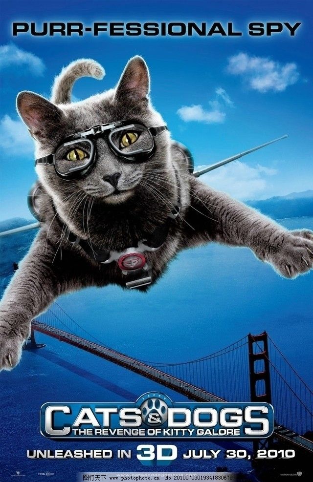 电影海报 猫狗大战2图片,影视娱乐 文化艺术-图
