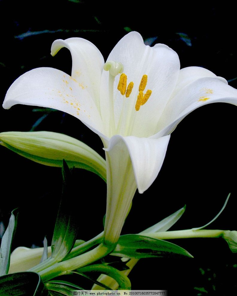 毛阿敏生孩子年龄,全球女子监狱大揭秘,冬季连衣裙怎么搭配,雨菲儿宝宝365