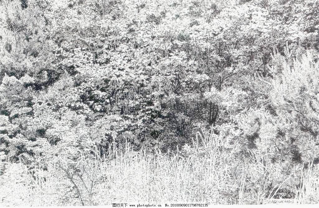 72DPI JPG 风景画 钢笔画 黑白画 绘画书法 设计 树 树林 树木 树林设计素材 树林模板下载 树林 钢笔画 线条 风景画 黑白画 线稿 线描 中国画 树 树木 绘画书法 文化艺术 设计 72dpi jpg 家居装饰素材 山水风景画