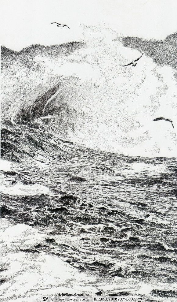 钢笔画 线条 风景画 黑白画 线稿 线描 中国画 海水 海洋 水 海鸥 鸟