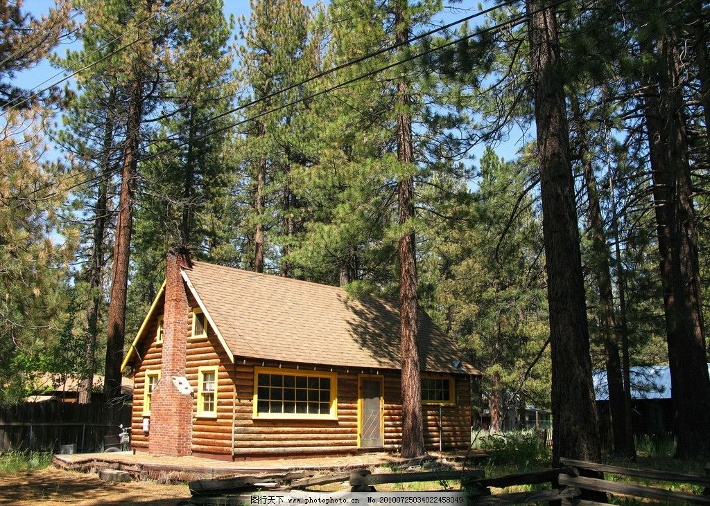 林中小屋 森林 树林 美国 洛杉矶 松林 小屋 房屋 木屋 阳光 农舍